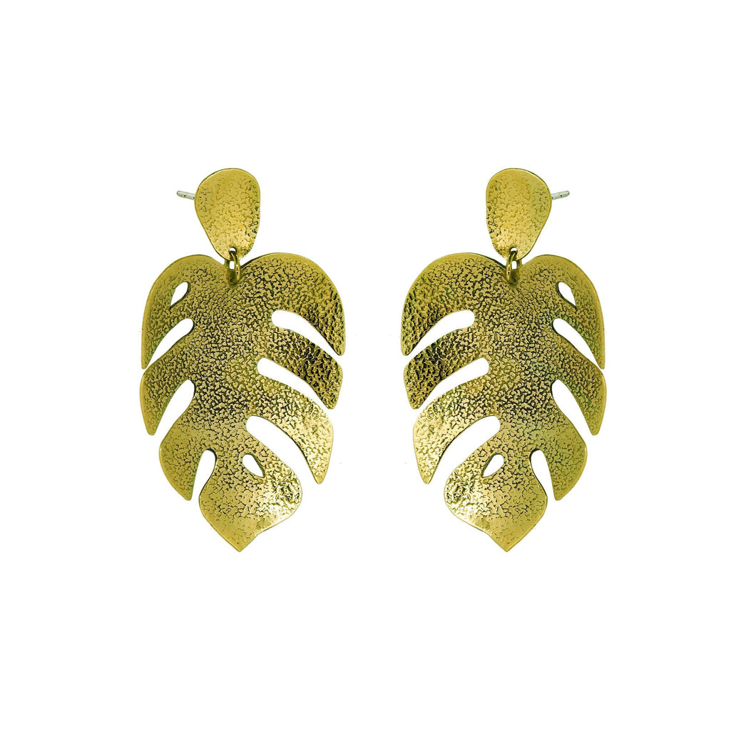 monstera clasica textured