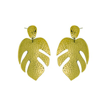 Load image into Gallery viewer, monstera deliciosa
