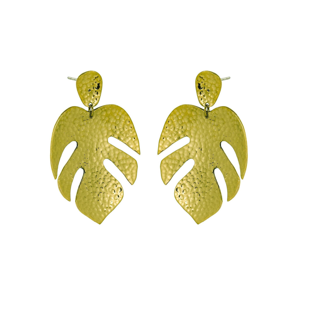 monstera deliciosa